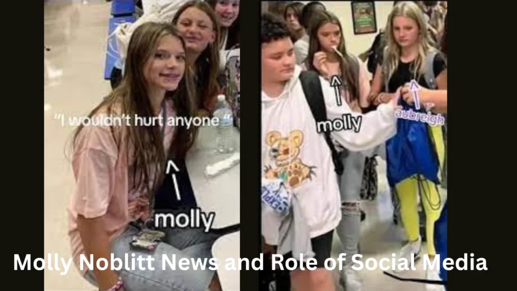 Molly Noblitt News and Role of Social Media