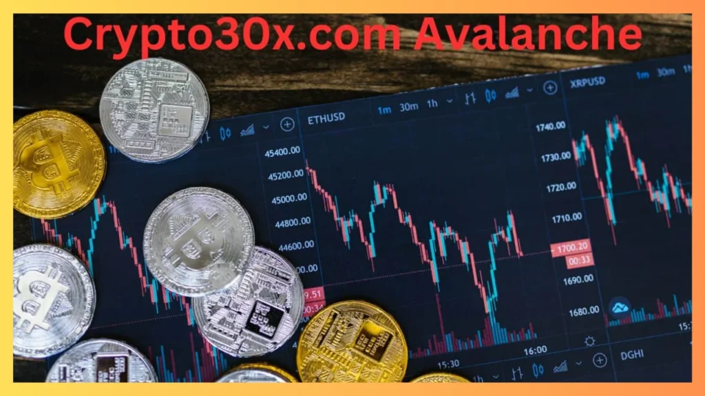 How Crypto30x.com Avalanche Connects